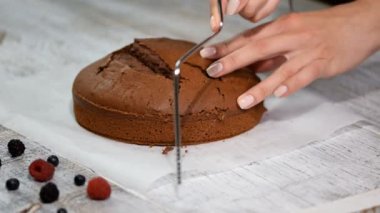 Çikolatalı pandispanya şekerlemeler dizi kesme. Şekerlemeler. Yemek bisküvi kek.