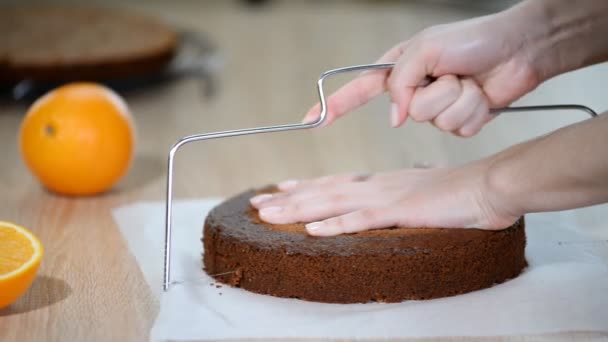 レイヤーのケーキカット。チョコレートの層のケーキを作る. — ストック動画