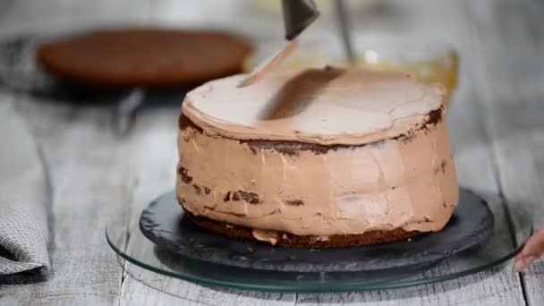 Processo de cozinhar bolo de esponja de chocolate. Passo a passo bolo de chocolate montagem — Vídeo de Stock