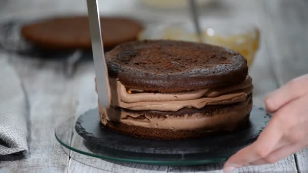 Proces van chocolade biscuit koken. Stap voor stap montage chocolade taart. — Stockvideo