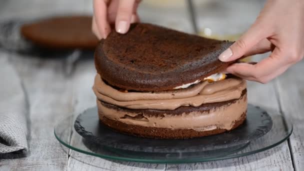 チョコレートのスポンジ ケーキにクリームとキャラメル。調理プロセス. — ストック動画