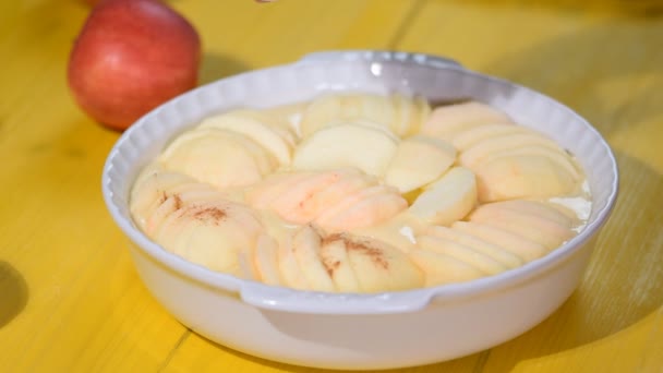 Šíření skořice na jablečný koláč. Ruční posyp koření na jablečný koláč. Takže sladký jablečný koláč. Domácí jablečný koláč a pečivo. — Stock video