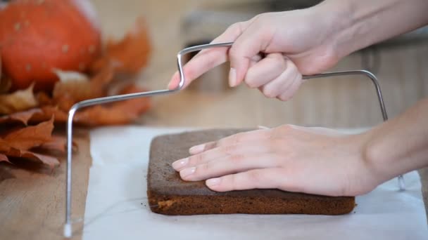 スポンジ ケーキとスレッドを切断します。スポンジ ケーキの層を作る. — ストック動画