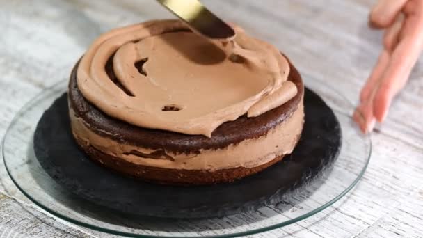 Close-up de pastelaria coberta com bolo de esponja de chocolate creme. Bolos de chocolate para o bolo. Creme num saco de pastelaria. Bolo de chocolate de umas férias . — Vídeo de Stock