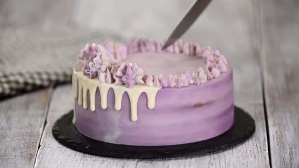 Femme coupe à la main gâteau aux myrtilles fait maison avec un couteau . — Video