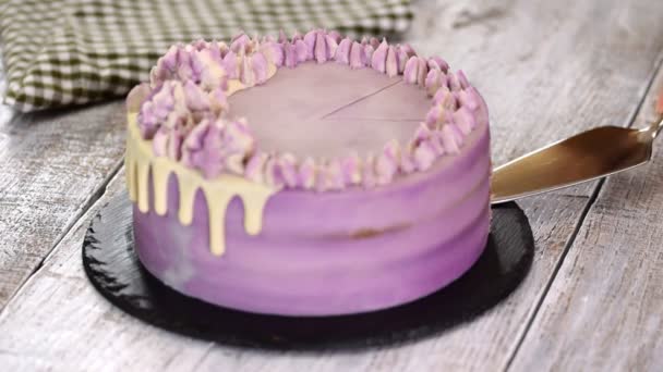 Lezzetli yaz Blueberry kek — Stok video