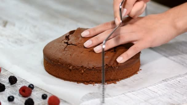 Corte de bolo em camadas. Fazendo bolo de camada de chocolate . — Vídeo de Stock