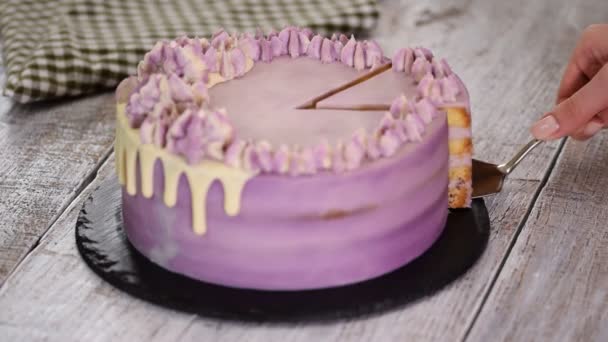 Heerlijke zomer Blueberry cake. — Stockvideo