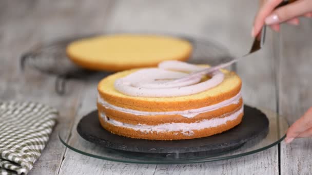 Femme sur la cuisine faisant gâteau aux myrtilles — Video