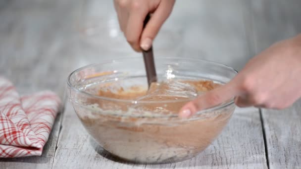 Mezcla de cacao en polvo, harina y huevos batidos. Hacer pastel de capa de chocolate. Serie . — Vídeo de stock