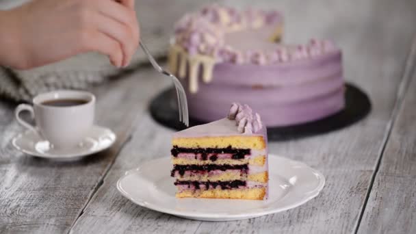 Ein Stück Kuchen auf einem weißen Teller essen. — Stockvideo