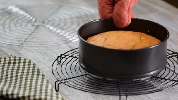 Beyaz ahşap masada taze pişmiş ev yapımı sünger kek — Stok video