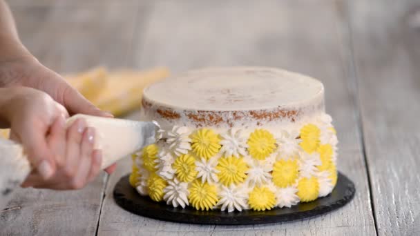 Chef o panettiere decorazione torta con panna montata . — Video Stock