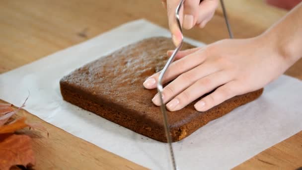 Σεφ ζαχαροπλαστικής κοπή το παντεσπάνι σε στρώσεις. Διαδικασία παραγωγής τούρτα . — Αρχείο Βίντεο