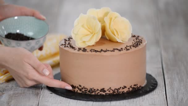 Chef pâtissier décorer gâteau avec du chocolat . — Video