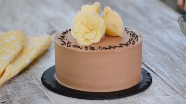 Σεφ ζαχαροπλαστικής διακοσμεί κέικ με σοκολάτα. — Αρχείο Βίντεο