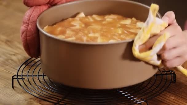 Tarta de manzana. Tarta casera con ingredientes naturales. Concepto para un postre sabroso . — Vídeos de Stock