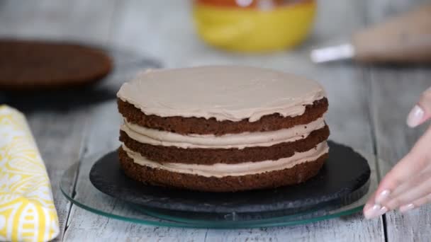 초콜릿 스펀지 케이크를 요리 과정입니다. 단계 단계 어셈블리 초콜릿 케이크. — 비디오