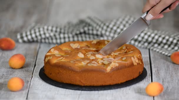 Hermoso y delicioso pastel de albaricoque fresco casero y saludable — Vídeo de stock