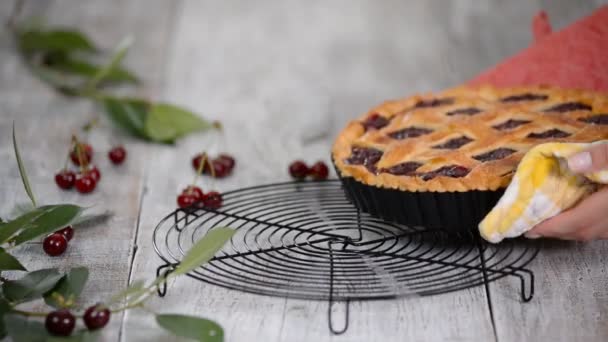 Tarte aux cerises maison fraîchement cuite . — Video