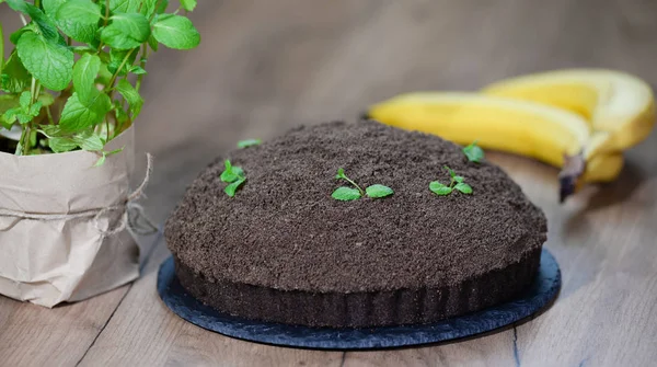 Casă Mink Mole Hole Tort cu biscuit de ciocolată, banane și brânză cremă . — Fotografie, imagine de stoc