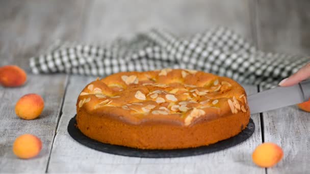 Bella e gustosa torta di albicocche fresca fatta in casa e sana . — Video Stock