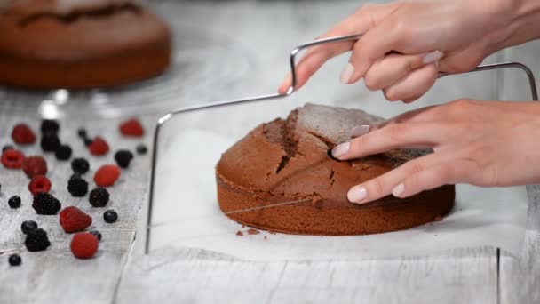 Vrouw hand snijden spons-taart. Een spons wedding cake snijden. — Stockvideo