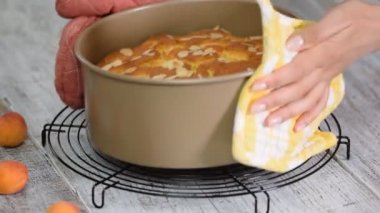 kayısı ve badem ahşap rustik zemin üzerine ev yapımı pasta.
