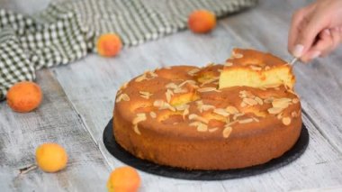 Meyveler ile taze kayısı sünger kek dilim.