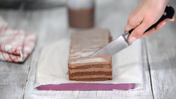 Μια γυναίκα κόβει ένα κέικ σοκολάτας. — Αρχείο Βίντεο
