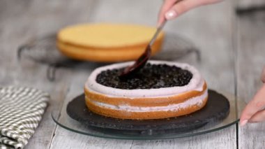 Modaya uygun rustik dikey roll yüksek kek Çikolata, vanilya krem ve ahududu.