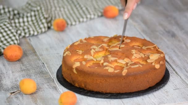 Découpe de gâteau à l'éponge d'abricot frais . — Video