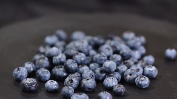 Blueberry roterende achtergrond. Verse en rijpe biologische bosbessen Rote achtergrond. — Stockvideo