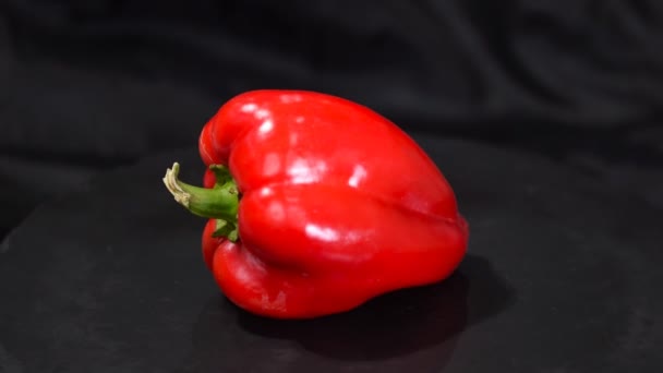 Close-up, rode paprika op een zwarte achtergrond. — Stockvideo