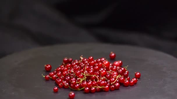 Ribes rosso ruotare in senso orario, primo piano — Video Stock
