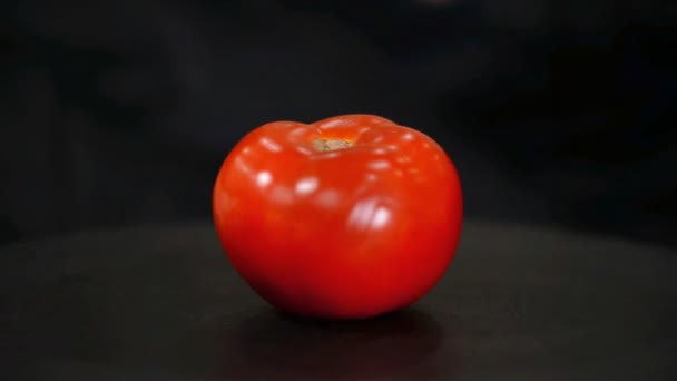 Rotação de tomate sobre fundo preto . — Vídeo de Stock