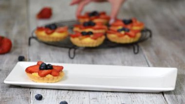 Muhallebi, çilek ve yaban mersini ile tartlets bir tabak tabak tabak tabak tabak tabak tabak tabak tabak tabak tabak tabak tabak tabak tabak tabak tabak tabak tabak tabak tabak tabak tabak tabak tabak tabak tabak tabak tabak tabak tabak tabak tabak tabak tabak tabak tabak tabak tabak tabak tabak tabak.