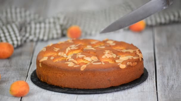 Découpe de gâteau à l'éponge d'abricot frais . — Video