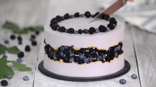 Женщина режет современный ягодный торт большим кухонным ножом — стоковое видео