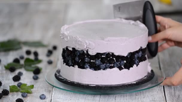 Yakın çekim: Kremalı kek. Kremalı sünger kek. Tatil için yemek. Bir şekerdükkanında kek hazırlanması. — Stok video