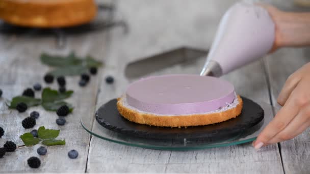 Concepto de cocina. Pastelero profesional haciendo delicioso pastel, primer plano . — Vídeos de Stock