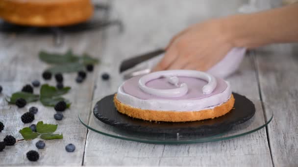 요리 개념입니다. 맛 있는 케이크, 근접 촬영을 만드는 전문적인 제과. — 비디오