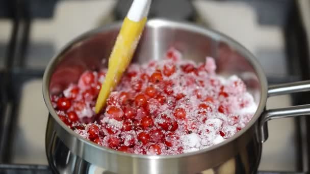 Grosellas rojas y azúcar en una cacerola. Hacer mermelada de grosella roja — Vídeos de Stock