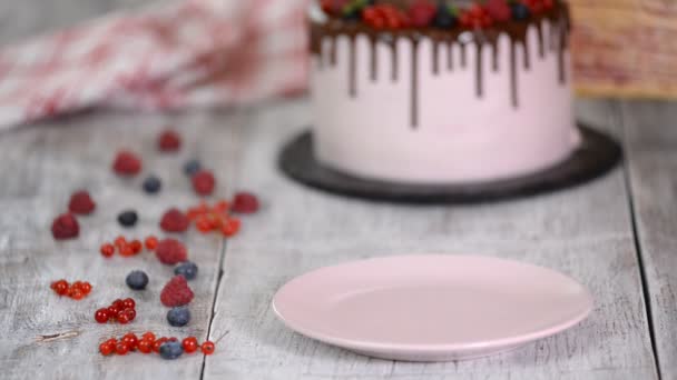 Шматочок молочного дівочого торта, наповненого ягодою . — стокове відео