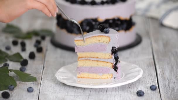 Tutup dari kue buatan sendiri dengan mousse blueberry . — Stok Video