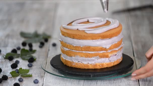 Recette de gâteaux. Chef pâtissier piping out crème remplissage sur une couche de gâteau éponge . — Video