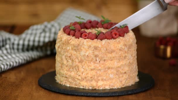 Donna taglio delizioso pasta sfoglia fatta in casa napoleone torta stratificato con crema pasticcera . — Video Stock