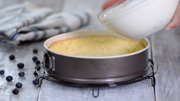 Mulher a fazer bolo de queijo saboroso. Fazendo Cheesecake com mirtilos . — Vídeo de Stock