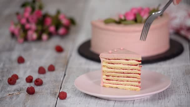 Scheibe von geschichteten cremigen Fruchtkuchen. Himbeerkuchen. — Stockvideo