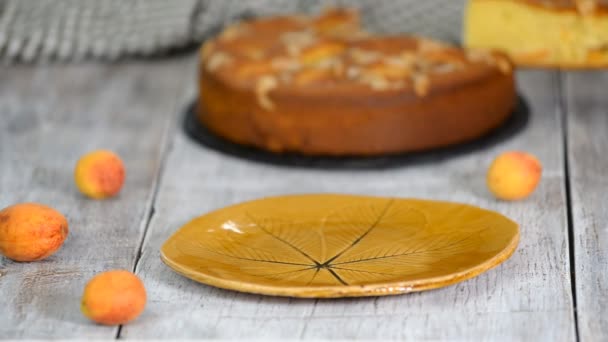 Tranche d'abricot et tarte aux amandes . — Video